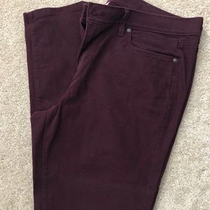 Ann Taylor Loft Maroon Jeans